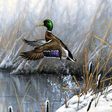 Схема вышивки «Худ. Абрахам Гюнтер»