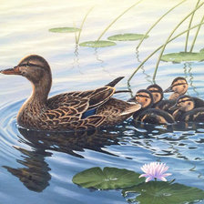 Схема вышивки «Худ.Абрахам Гюнтер»