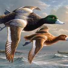 Схема вышивки «Перелет в непогоду»