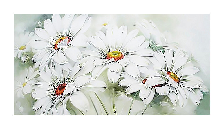 MARGARITAS - оригинал