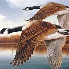 Схема вышивки «Полет над гладью вод»