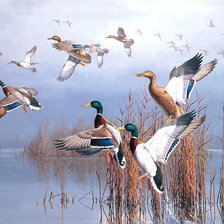 Схема вышивки «Прилетели»