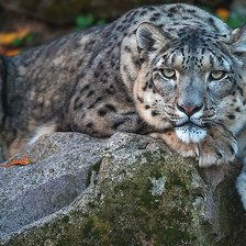 Схема вышивки «№2068677»