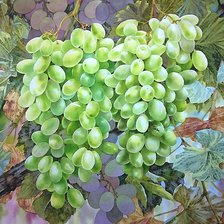 Схема вышивки «№2068678»