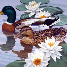 Схема вышивки «Утки на воде»