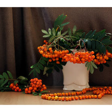 Схема вышивки «натюрморт с рябиной»