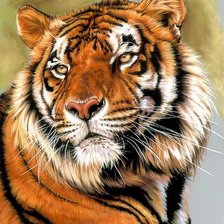 Схема вышивки «дикие»