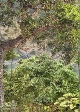 Схема вышивки «часть 4 замок»