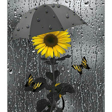 Схема вышивки «Подсолнух под зонтом.»