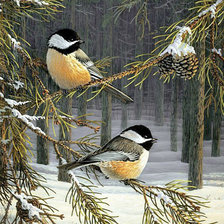 Схема вышивки «птички на ветке»