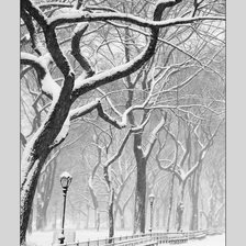 Схема вышивки «№2069249»