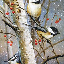 Схема вышивки «Синички зимой»