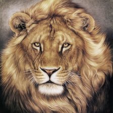 Схема вышивки «№2069281»