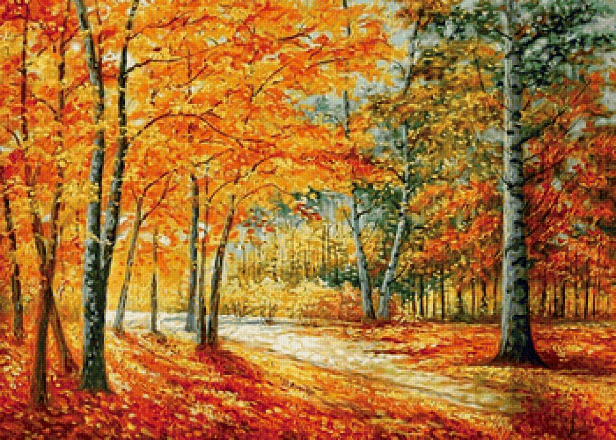 Краски осени - осень, пейзаж, березы - предпросмотр