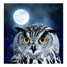 Схема вышивки «№2069294»