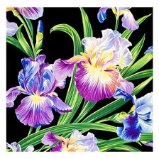 Схема вышивки «Ирисы.»