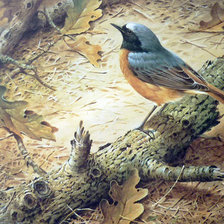 Схема вышивки «Птичка синяя»