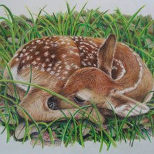 Схема вышивки «№2069409»