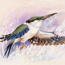 Схема вышивки «Серия Птицы»