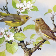 Схема вышивки «Худ. Василий Эде»