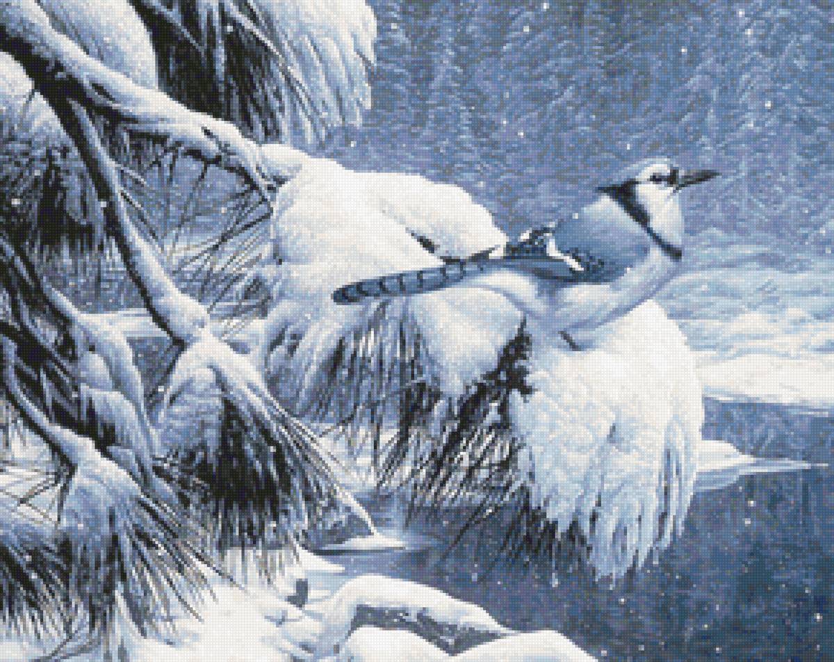 птица на заснеженной ветке - птицы, снег, лес, зима - предпросмотр