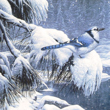 Схема вышивки «птица на заснеженной ветке»