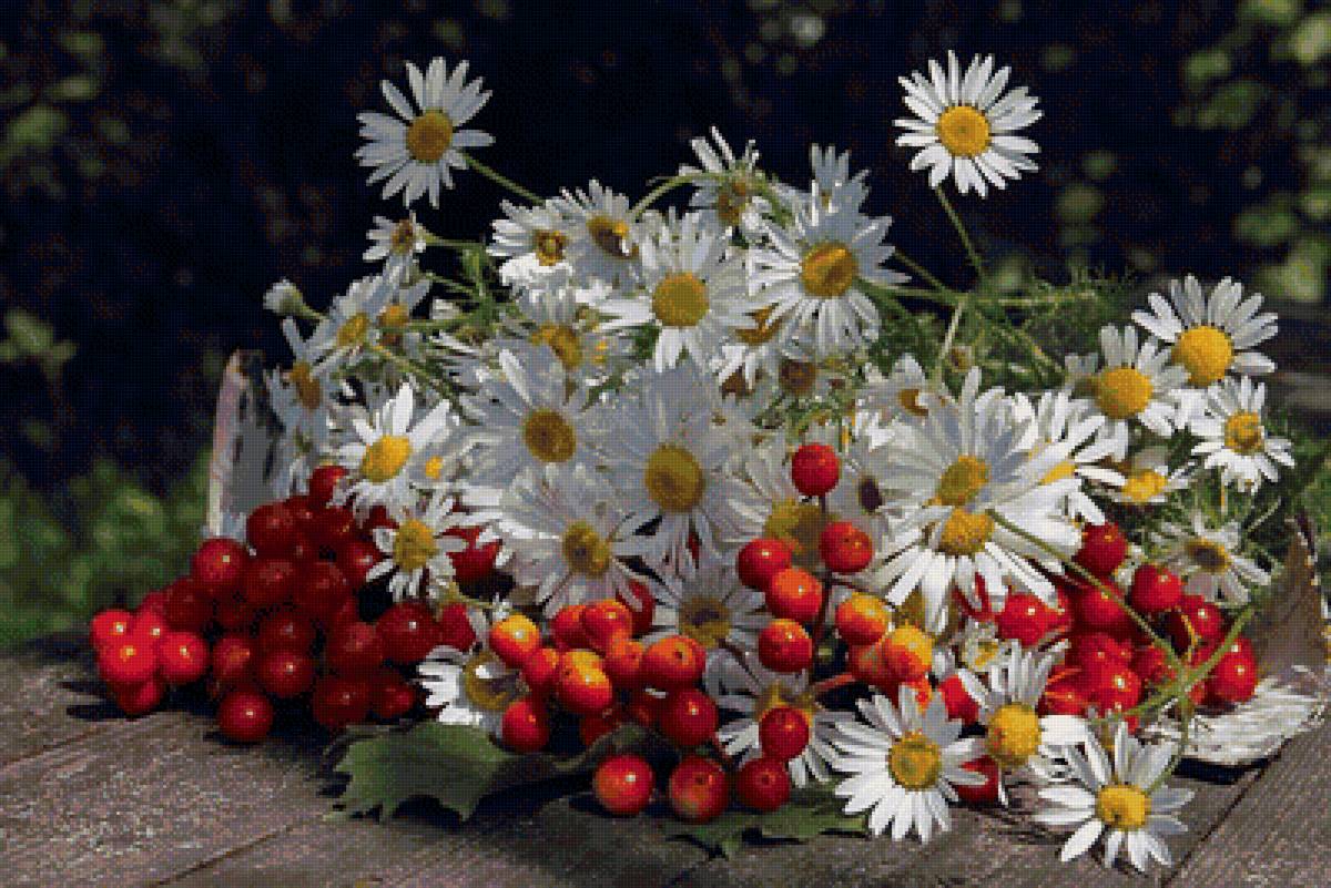 натюрморт - ромашки, цветы - предпросмотр