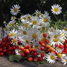 Схема вышивки «натюрморт»