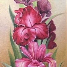 Схема вышивки «півники»