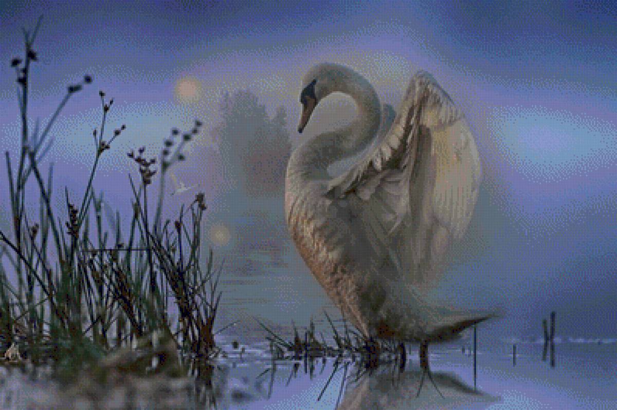 лебедь - небо, вода, трава, лебедь - предпросмотр