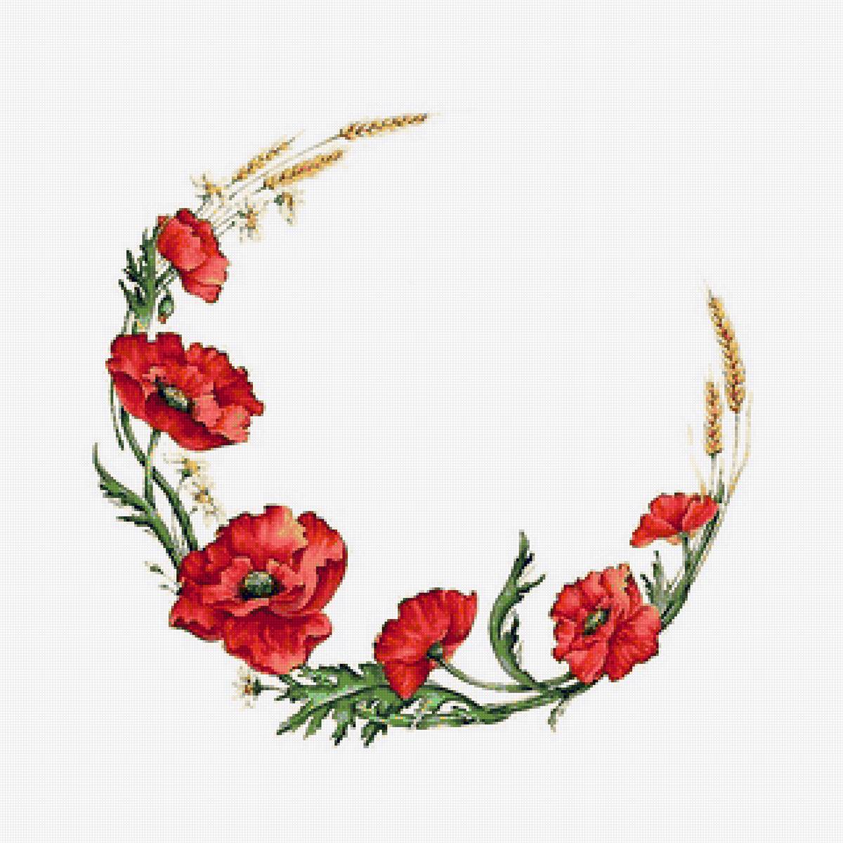 маки - предпросмотр