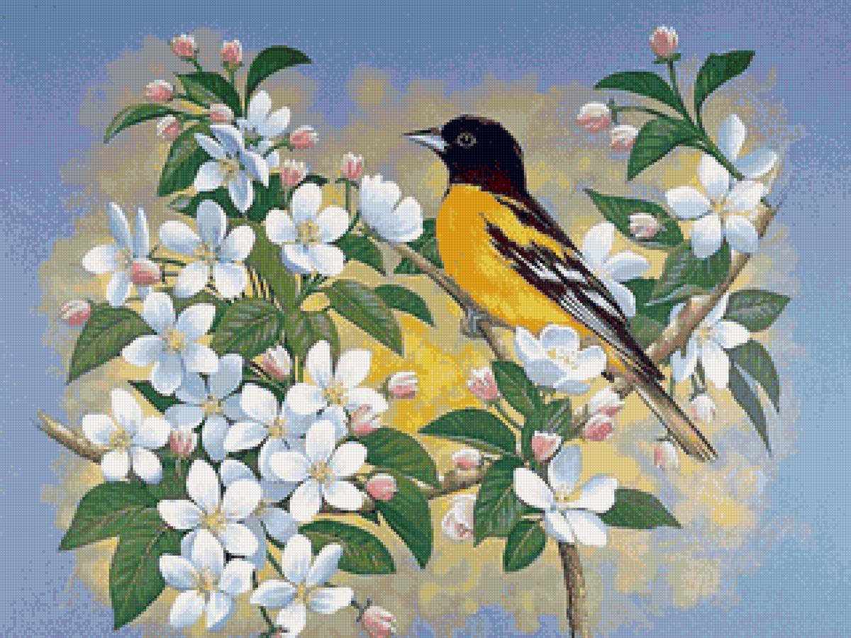 Худ. Джон Слоун - цветущая ветка, птицы - предпросмотр