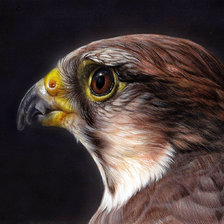 Схема вышивки «Худ. Кристина Скулте»