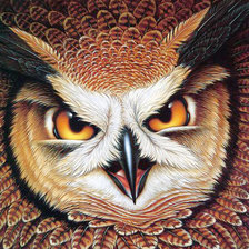 Схема вышивки «Страшный филин»