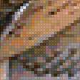 Предпросмотр схемы вышивки «Ястреб» (№2070178)