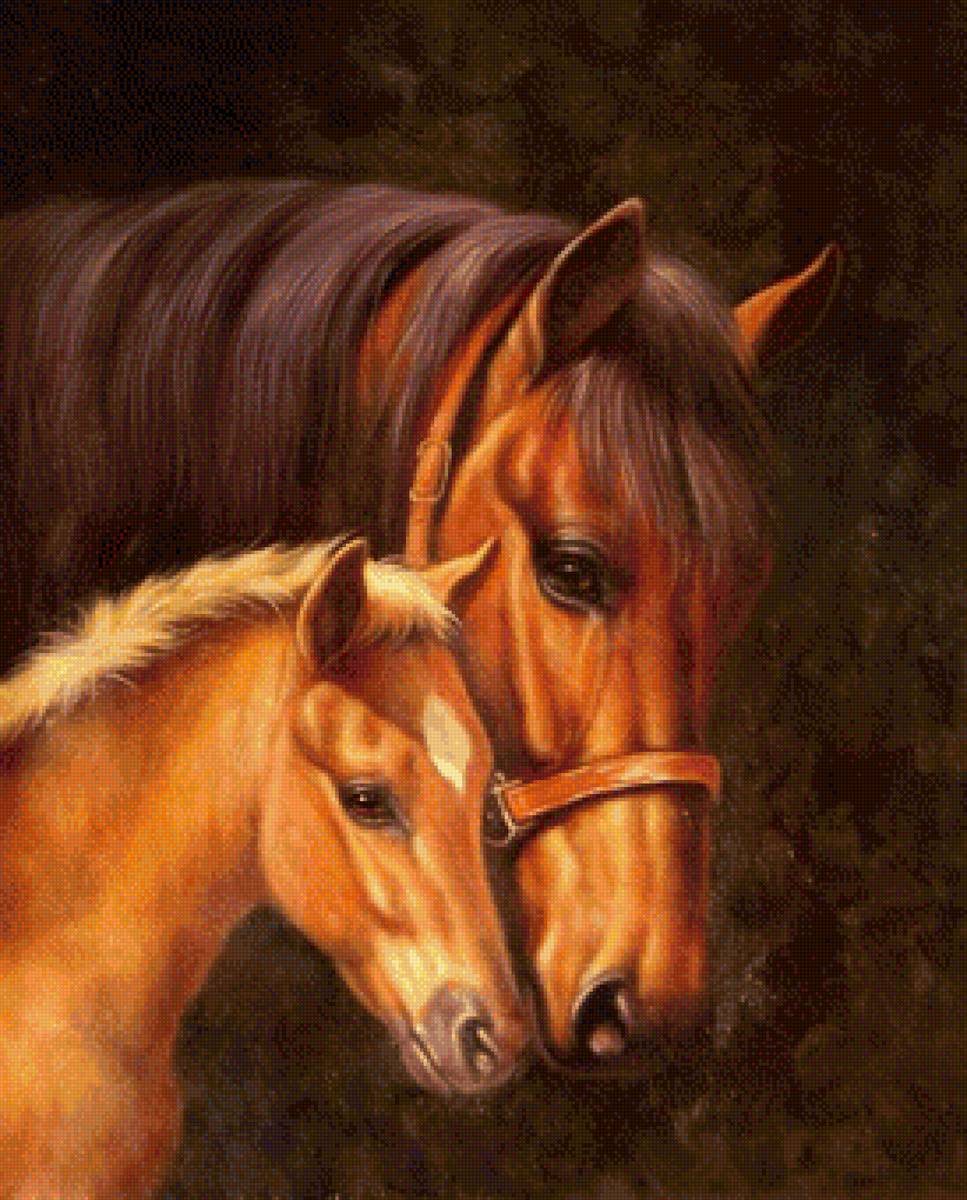 Родные души - конь - предпросмотр