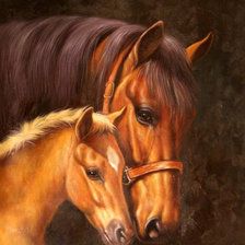 Родные души