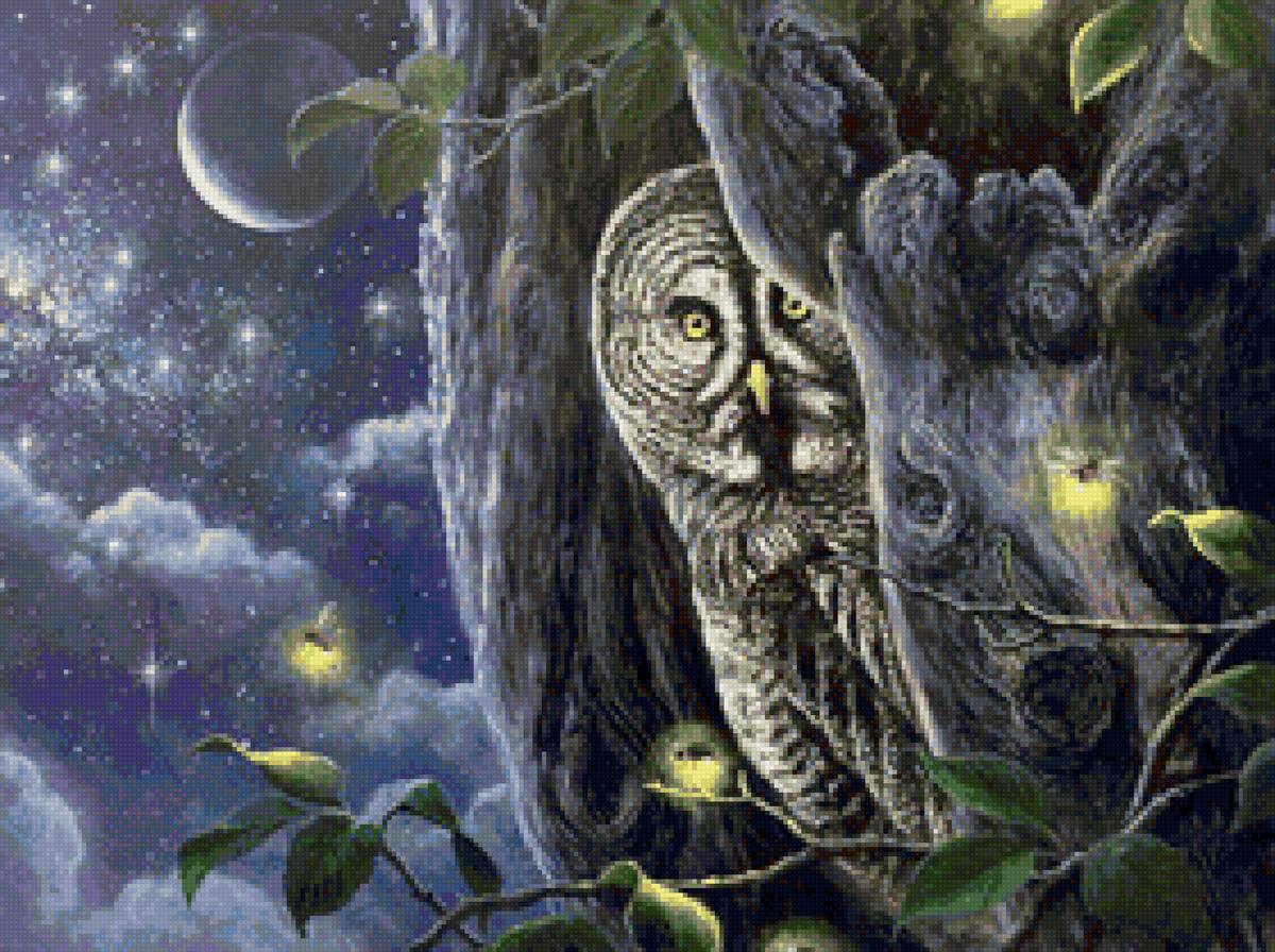 Сова и светлячки - птицы, ночь, сыч, сова - предпросмотр