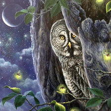 Схема вышивки «Сова и светлячки»