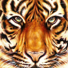 Схема вышивки «№2070428»