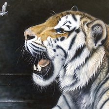 Схема вышивки «тигр»