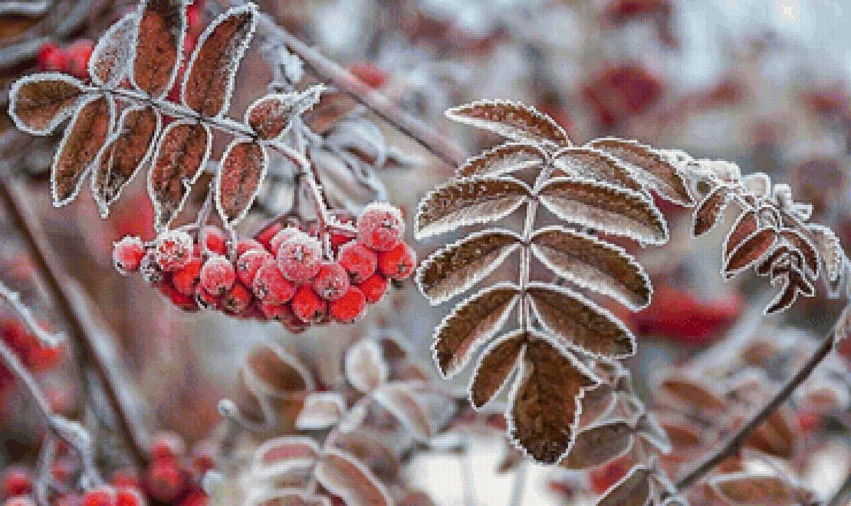 №2070689 - предпросмотр