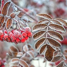 Схема вышивки «№2070689»