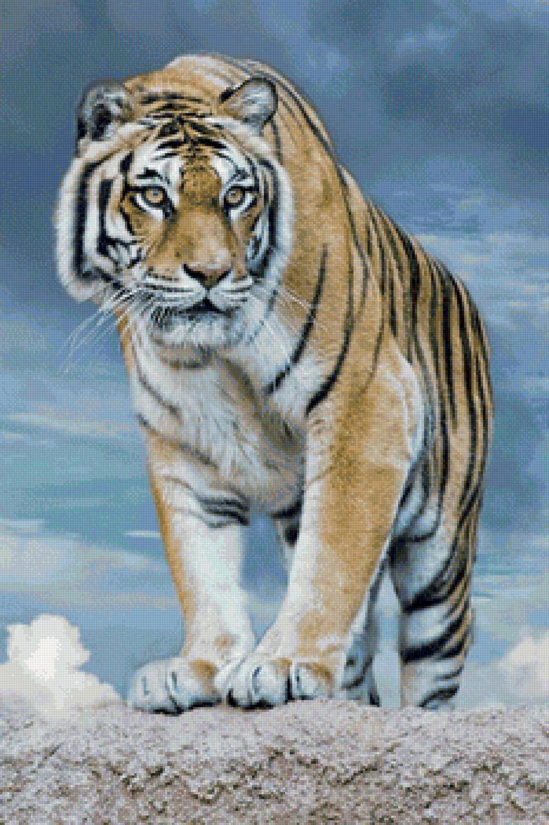 дикие - предпросмотр