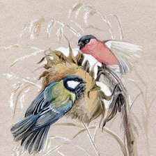 Схема вышивки «Тема для подушки»