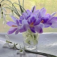 Схема вышивки «крокусы»