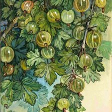 Схема вышивки «№2071148»