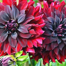 Схема вышивки «№2071227»