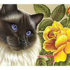 Схема вышивки «Кошечка.»