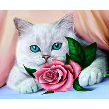 Схема вышивки «Кошечка и роза.»
